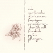 Startpaket © - KAROLINGISCHE MINUSKEL