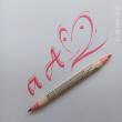 ZIG Calligraphy pen - MS 3400 / SALMON 021