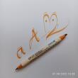 ZIG Calligraphy pen - MS 3400 / WHEAT 061