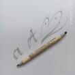 ZIG Calligraphy pen  - MS 3400 / PLATINUM 091