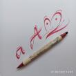 ZIG Calligraphy pen - MS 3400 / SPICE 208