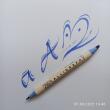 ZIG Calligraphy pen - MS 3400 / SPLASH 301