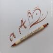 ZIG Calligraphy pen - MS 3400 / COFFEE 601