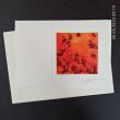 Fotodruck Psalm 7 - Vers 3 ©