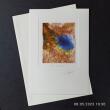 Fotodruck Psalm 19 - Vers 8 ©