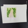 Fotodruck Psalm 64 - Vers 11 ©