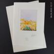 Fotodruck Psalm 85 - Vers 13 ©