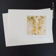 Fotodruck Psalm 90 - Vers 6 ©