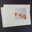 Fotodruck Psalm 133 - Vers 1 ©